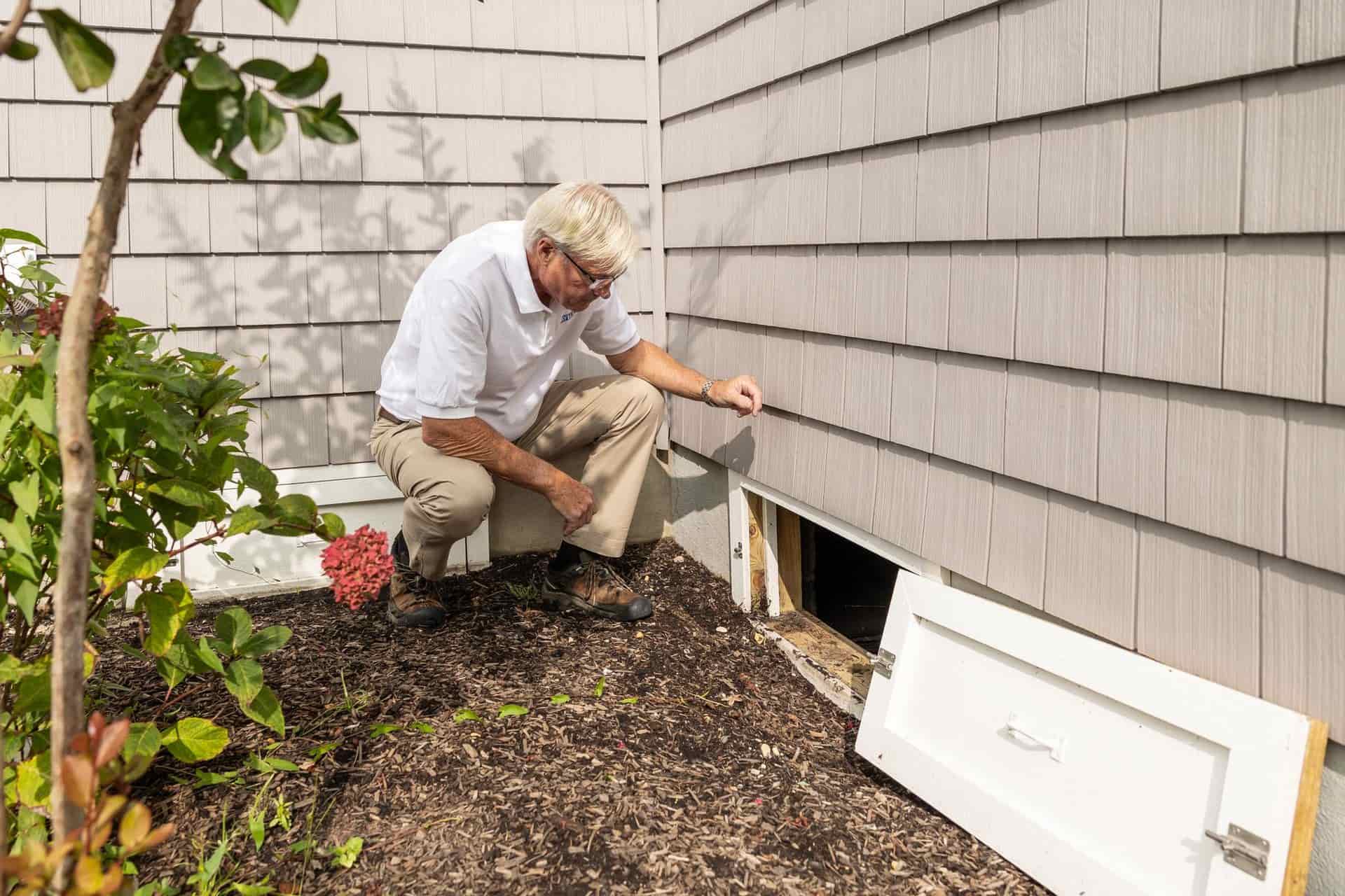 marketing for pest control companies in Charlotte, North Carolina