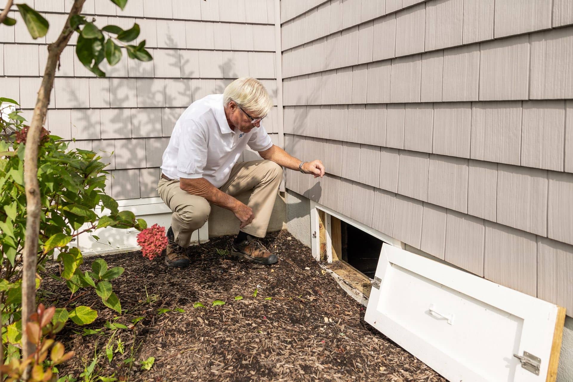 Pest Control work