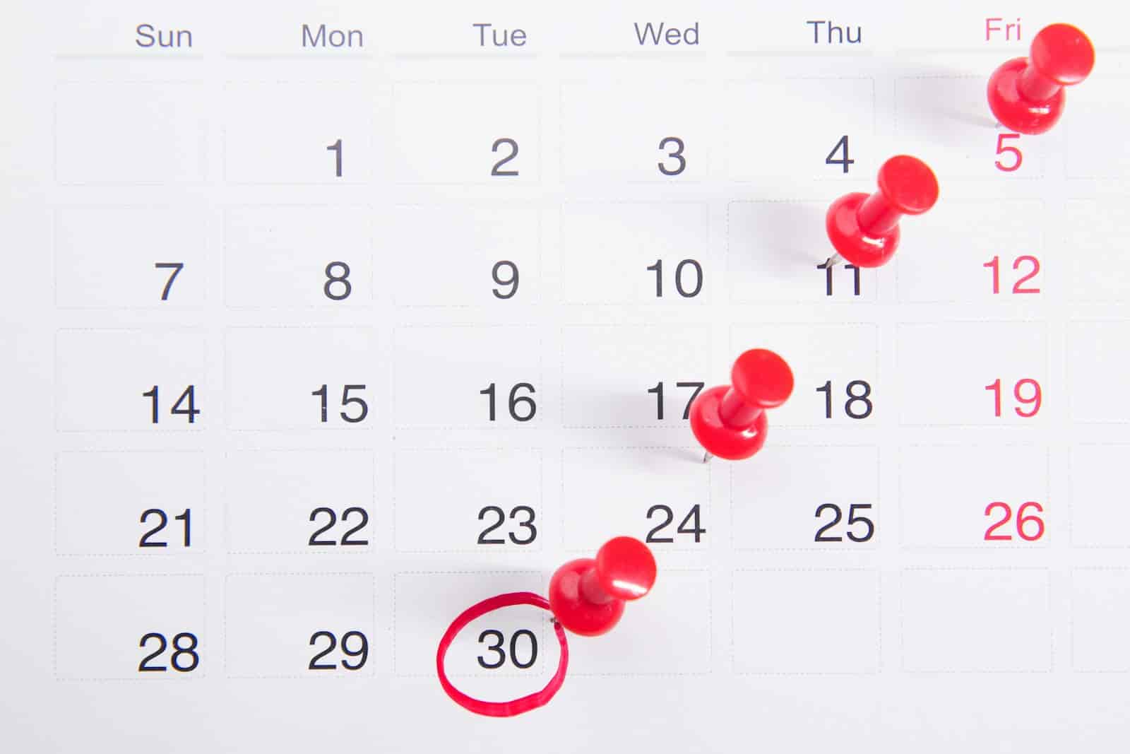 Management / Booking: Customers book themselves, your calendar fills itself